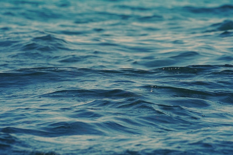 Coastal Landscape